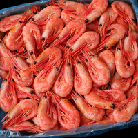 【直播】北极甜虾腹籽3斤装810冰虾新货带籽大虾鲜活速冻