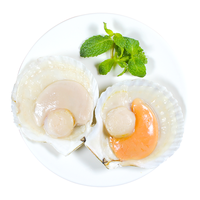 富海锦 鲜汁半壳虾夷扇贝320g 6只 无沙 火锅烧烤食材 国产海鲜