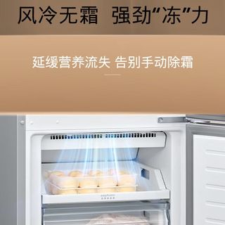 西门子 KG33NV161C 风冷无霜双门冰箱