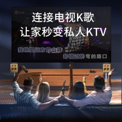 艾智尔 DOSS适用于乐宴魔砖声浪家用客厅无线K歌外置声卡混响唱歌调音台