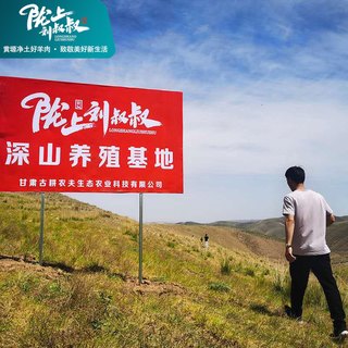 陇上刘叔叔 环县羊羔肉深山散养百草羊肉羊腿羊排羊蝎子整羊礼盒 牛羊肉卷各2斤【共4斤】 黄塬净土的宝藏羊肉