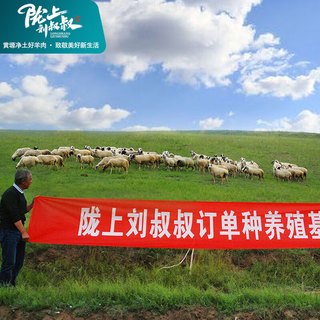 陇上刘叔叔 环县羊羔肉深山散养百草羊肉羊腿羊排羊蝎子整羊礼盒 牛羊肉卷各2斤【共4斤】 黄塬净土的宝藏羊肉