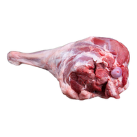 陇上刘叔叔 环县羊羔肉深山散养百草羊肉羊腿羊排羊蝎子整羊礼盒 5斤前腿带排 黄塬净土的宝藏羊肉