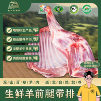 陇上刘叔叔 环县羊羔肉深山散养百草羊肉羊腿羊排羊蝎子整羊礼盒 羔羊前腿带排5斤 黄塬净土的宝藏羊肉
