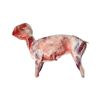 陇上刘叔叔 环县羊羔肉深山散养百草羊肉羊腿羊排羊蝎子整羊礼盒 山羊羊羔整只20斤 黄塬净土的宝藏羊肉