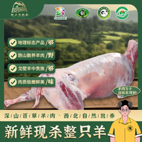 陇上刘叔叔 环县羊羔肉深山散养百草羊肉羊腿羊排羊蝎子整羊礼盒 宁夏滩羊整只40斤 黄塬净土的宝藏羊肉