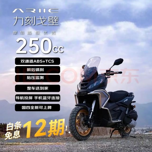 力刻 戈壁250高配版 燃油摩托车 长途摩旅 舒适省油踏板 曜夜黑25款