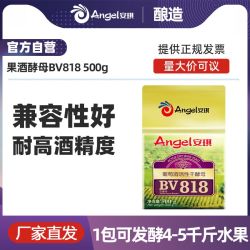安琪 葡萄酒高活性干酵母500g  白葡萄酒水果酒专用酵母粉原装家庭