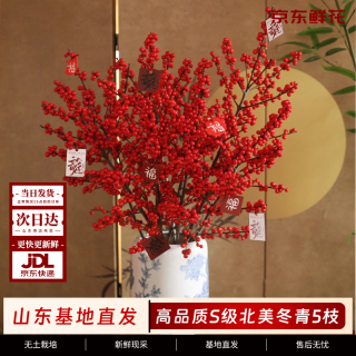 京东鲜花 5枝A+级