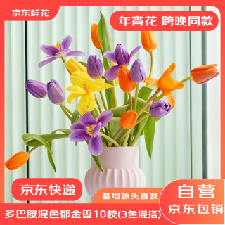 京东鲜花 郁金香鲜花10枝多巴胺混色（三种颜色混搭）