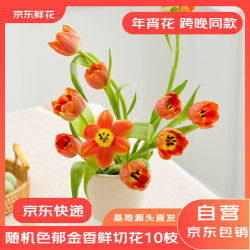 京东鲜花 郁金香10枝家庭生活鲜花花束玫瑰花向日葵百合康乃馨