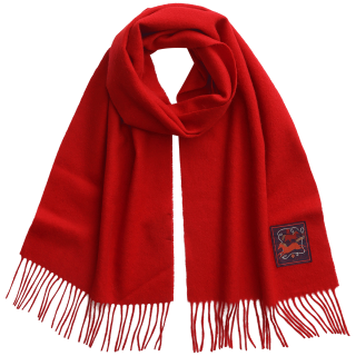 ELLE 100%绵羊毛围巾女秋冬季洋气轻奢新年礼盒装