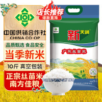 新天润 广东丝苗米 5kg 真空装