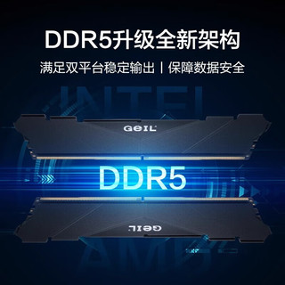 MLOONG金邦 16G DDR5 6000电脑台式机主机内存条 6000MHz 16GB 1条