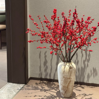 京东鲜花 5枝A+级年宵花用花春节新中式氛围感源头直发