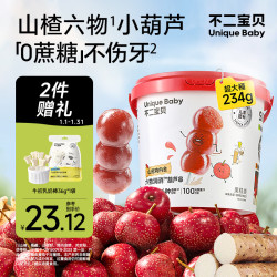不二宝贝 牛脾肽鸡内金山楂葫芦串234g棒棒糖搭无添加婴儿幼儿童宝宝零食 山楂葫芦串