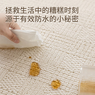 大江地毯客厅简约免洗易打理防水防滑地毯卧室大面积地毯 布里罗曼 200x300cm
