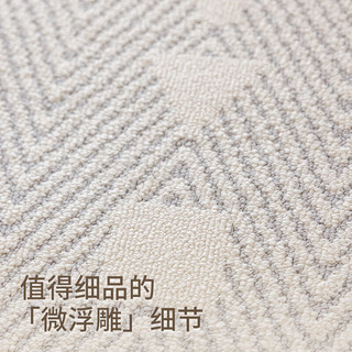 大江地毯客厅简约免洗易打理防水防滑地毯卧室大面积地毯 空纹 200x300cm