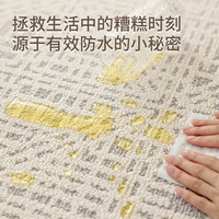 大江地毯客厅简约免洗易打理防水防滑地毯卧室大面积地毯 静岚 300x400cm