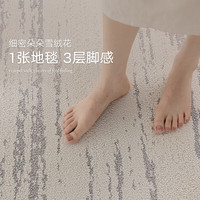 大江地毯客厅简约免洗易打理防水防滑地毯卧室大面积地毯 雾川 200x300cm