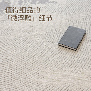 大江地毯客厅简约免洗易打理防水防滑地毯卧室大面积地毯 弦波 160x240cm