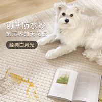 大江地毯客厅简约免洗易打理防水防滑地毯卧室大面积地毯 帕提亚 240x340cm