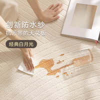 大江地毯客厅简约免洗易打理防水防滑地毯卧室大面积地毯 圆舞曲 300x400cm