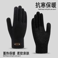 冬季手套2双防风防寒保暖触屏秋冬季男女款手套