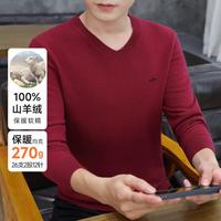 法派 【100%山羊绒】厚款休闲保暖舒适V领羊绒衫舒适男式羊绒衫