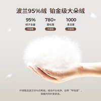 坦博尔【店铺爆款】泡芙羽绒服女短款立领秋冬保暖时尚外套TBF520362Z 黑色 170/92A