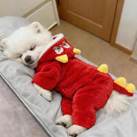 阿莫尔 狗狗衣服冬季保暖加厚新年醒狮四脚衣宠物小型犬泰迪比熊博美防寒 喜庆醒狮 S（建议3-5斤