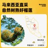 大马彭亨州马来西亚猫山王榴莲d197冷冻榴莲新鲜水果