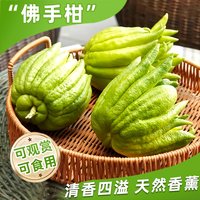 佛手柑鲜果水培植物带枝新鲜切枝盆栽佛手瓜观赏闻香室内水养绿植
