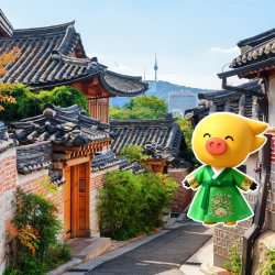 韩国·五年多次旅游签证·北京送签·五年多次韩国签证十年个人旅游签加急简化办理