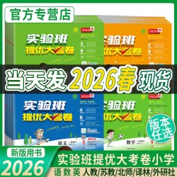 2024版实验班提优大考卷