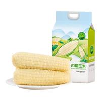 新鲜甜糯玉米黏粘白玉米棒真空装粗粮代餐苞米非即食早餐低脂饱腹