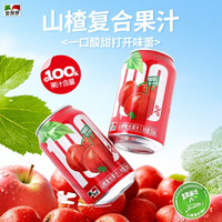 金保罗 山楂复合果汁 310ml*16罐 礼盒装