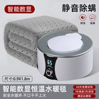 拉舍尔 RASCHEL 拉舍尔 2303A-2 电热毯 0.9*1.8m 智能数显遥控款