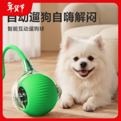 HELLOJOY 狗狗玩具耐咬球自动逗狗神器自嗨解闷宠物电动小狗智能弹力遛狗球