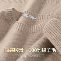 雪中飞(SNOWFLYING)【软糯舒适 100%绵羊毛】女士羊毛衫秋冬圆领内搭长袖毛衣女