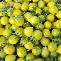 山东寿光梦想青甜2号小番茄即食新鲜皮薄汁多整箱