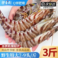 鲜喜利 浙江舟山竹节虾 500g 10-12cm