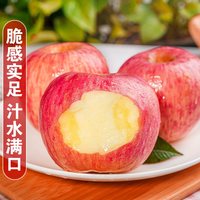 甜畅 陕西洛川红富士苹果 70mm-75mm 9斤
