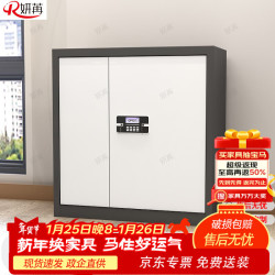 妍苒 保密文件柜档案柜资料凭证柜智能密码锁防盗铁皮柜储物柜办公柜子