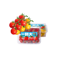 一颗大 樱桃串番茄 生鲜水果西红柿净重198g*2盒 源头直发 【串串玲珑】410g*2