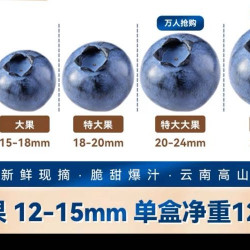 菲农 云南蓝莓鲜果特大礼盒当季高山L25花香新鲜水果孕妇怡颗蓝梅整箱