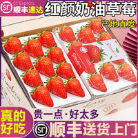 粤迎 红颜奶油草莓A+精选果净2.5斤