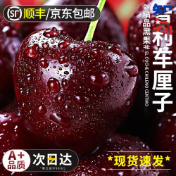 鲁禧海岸 智利车厘子 4斤(净重) 大果J级丨5斤礼箱装