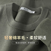 雪中飞(SNOWFLYING)【含绵羊毛】秋冬厚款时尚休闲舒适纯色圆领长袖男式针织衫