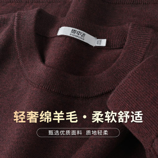 雪中飞（SNOWFLYING）【含绵羊毛】秋冬厚款时尚休闲舒适纯色圆领长袖男式针织衫